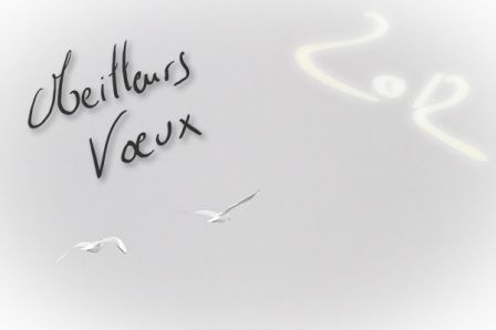 voeux-2012-jardinphoto-3.jpg, janv. 2012